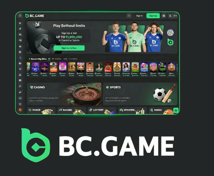 Exploring the Excitement of BC.Game Casino
